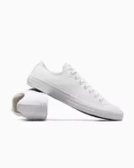 Converse Chuck Taylor All Star Canvas Low White Monochrome