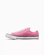 Converse Chuck Taylor All Star Canvas Low Rosa