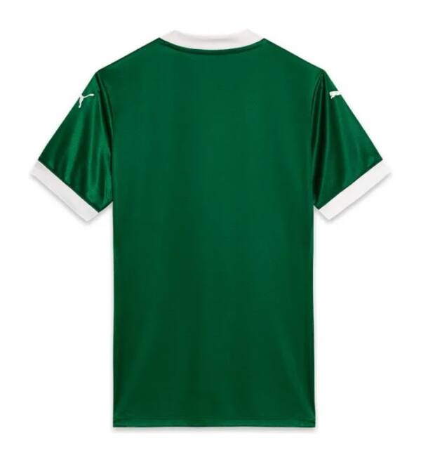 Palmeiras Puma 2025 Camiseta Principal (Home) (2)