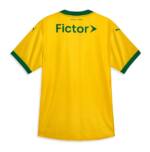 Palmeiras Puma 2025 Terceira Camiseta (2)